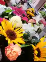 鳩森八幡神社の手水舎