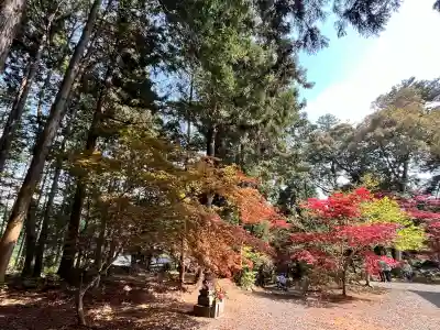 白毫寺熊野権現社(兵庫県)
