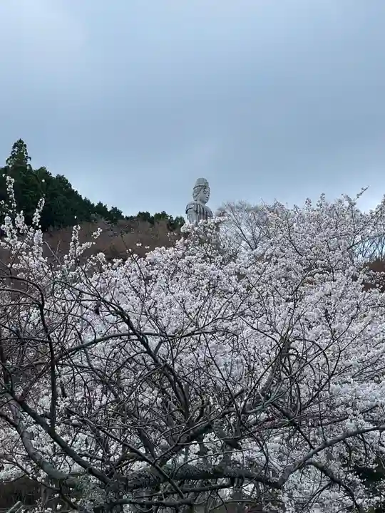 南法華寺(壷阪寺)(奈良県)