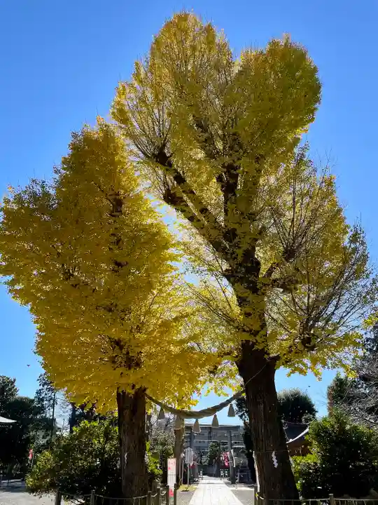 亀ケ池八幡宮(神奈川県)