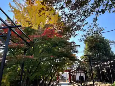 乙訓寺の山門・神門