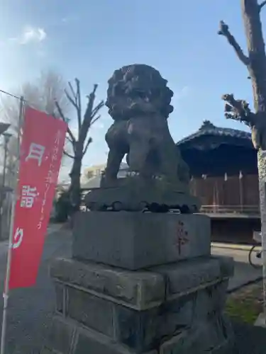 滝野川八幡神社の狛犬