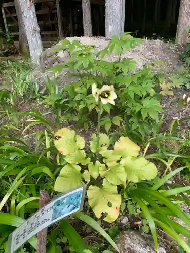 熊野堂神社の自然