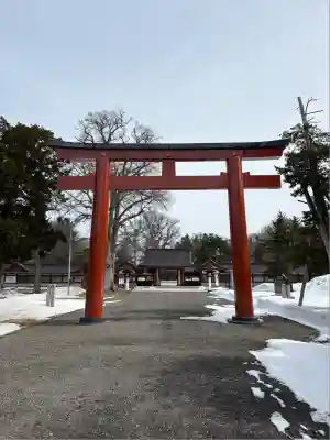 北海道護國神社の鳥居