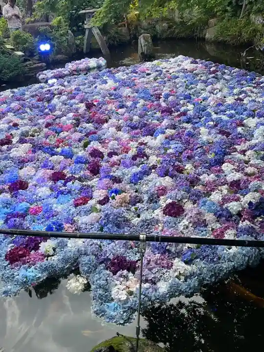 楽法寺(雨引観音)(茨城県)