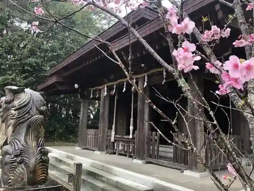 小戸神社の本殿・本堂