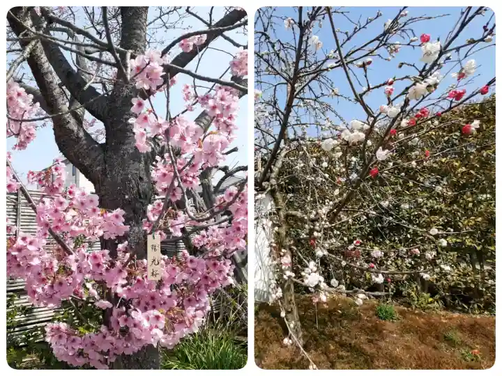 元興寺の{uncategorized: "未分類", other: "その他", undefined: "問題あり", building: "その他建物", grave: "お墓", sacred_gate: "鳥居", guardian: "狛犬", statue: "像", buddha: "仏像", history: "歴史", nature: "自然", garden: "庭園", animal: "動物", pagoda: "塔", temizu: "手水舎", mountain_gate: "山門・神門", sanctuary: "本殿・本堂", subordinate: "末社・摂社", art: "芸術", scenery: "景色", jizo: "地蔵", ema: "絵馬", goshuin: "御朱印", omikuji: "おみくじ", items: "授与品その他", amulet: "お守り", goshuincho: "御朱印帳", eats: "食事", festival: "お祭り", votive_dance: "神楽", shichigosan: "七五三参", wedding: "結婚式", experience: "体験その他", initially: "初詣", around: "周辺", anti_infection: "感染症対策"}
