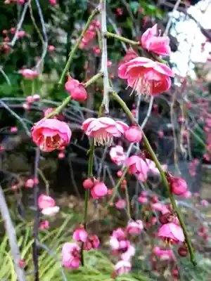 成子天神社(東京都)
