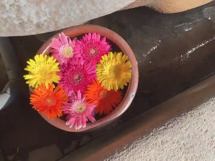 菅生神社の御朱印