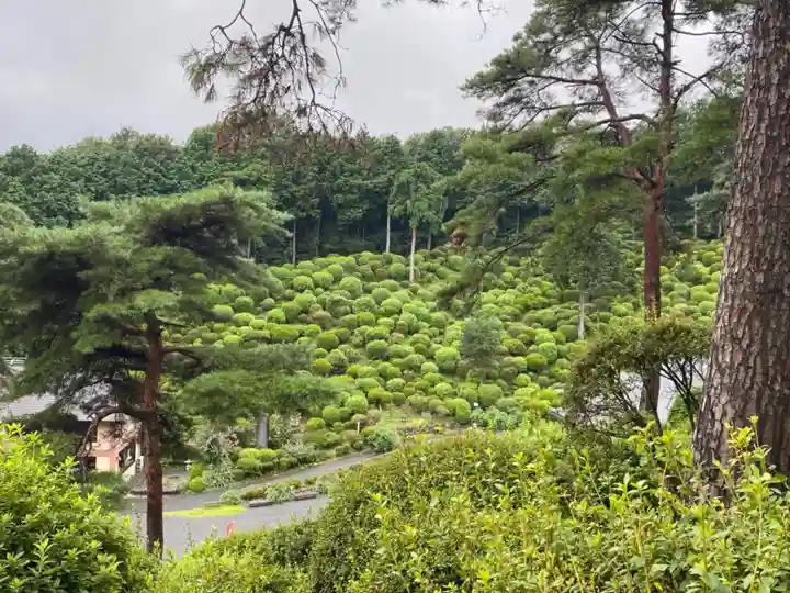 塩船観音寺の庭園
