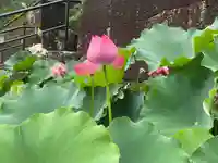 霊巌寺(和歌山県)