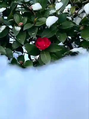 木留神社の自然