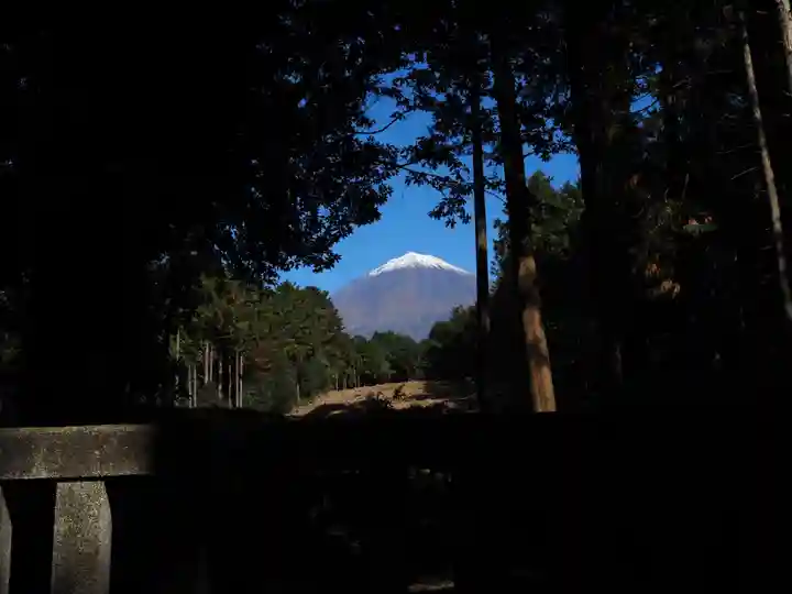 山宮浅間神社の本殿・本堂