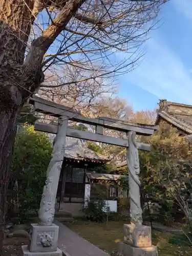 高円寺(東京都)