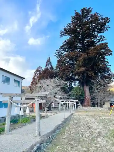 津田神社(三重県)