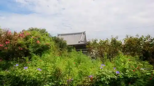 青宮寺の景色