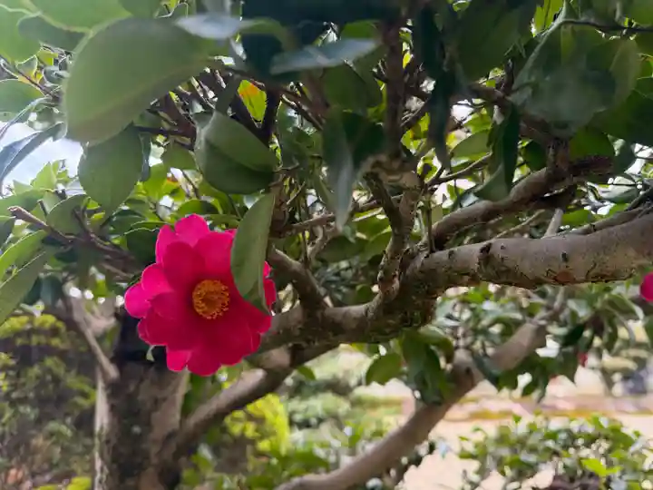 西方山極楽寺(岐阜県)