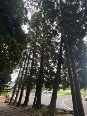 神魂神社(島根県)