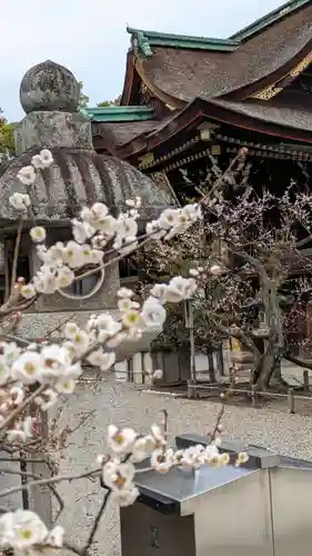北野天満宮(京都府)