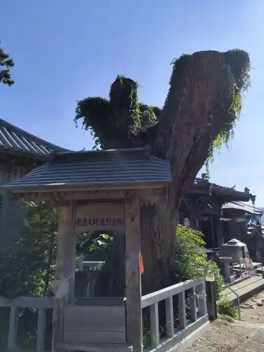 常楽寺(徳島県)