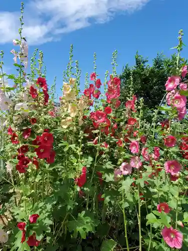 豊景神社(福島県)