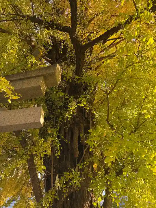 飛木稲荷神社(東京都)