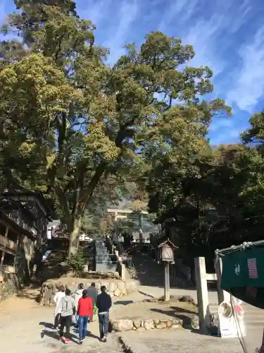 多度大社(三重県)