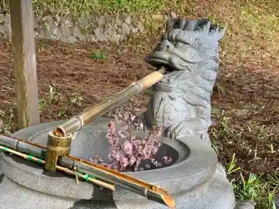 須山浅間神社の手水舎