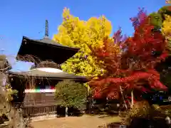 鑁阿寺の建物その他