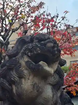 京都ゑびす神社(京都府)