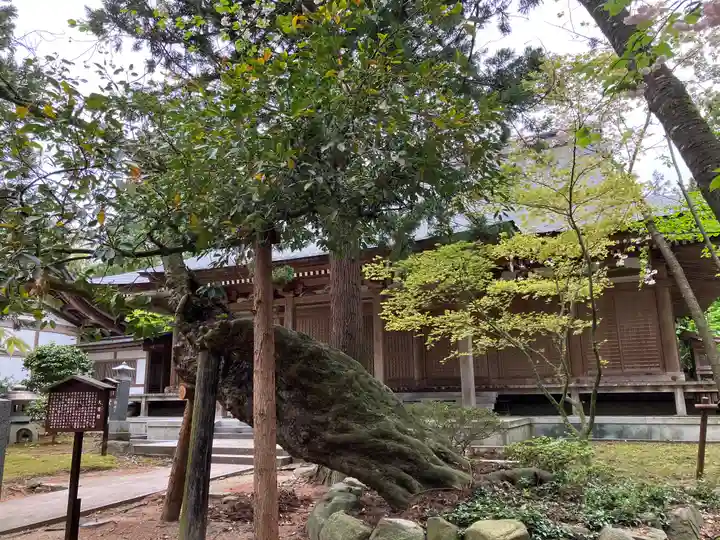 乙寳寺(新潟県)