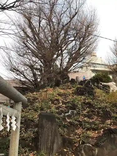 鳩森八幡神社(東京都)