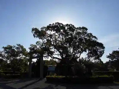 屋久島大社(鹿児島県)