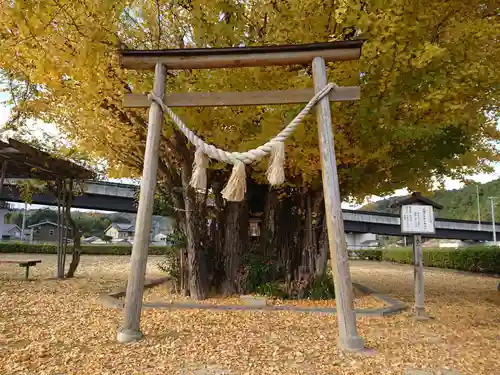 祠の鳥居