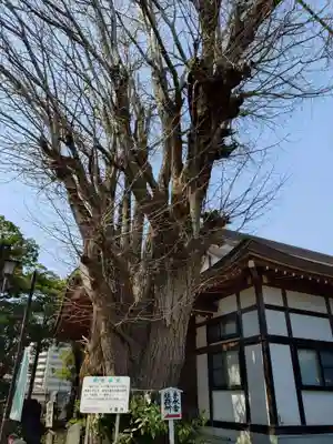 登渡神社(千葉県)