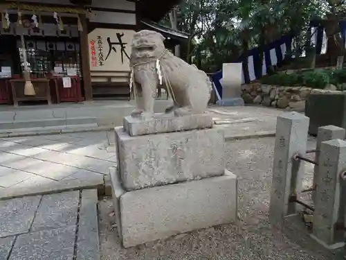 安居神社の狛犬