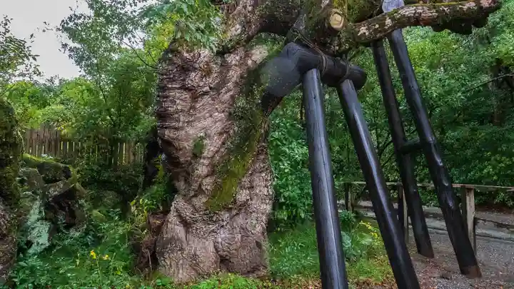 伊勢神宮外宮(豊受大神宮)(三重県)
