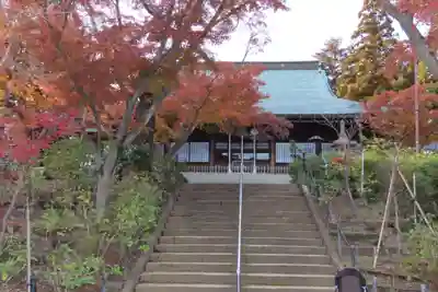 本土寺の本殿・本堂