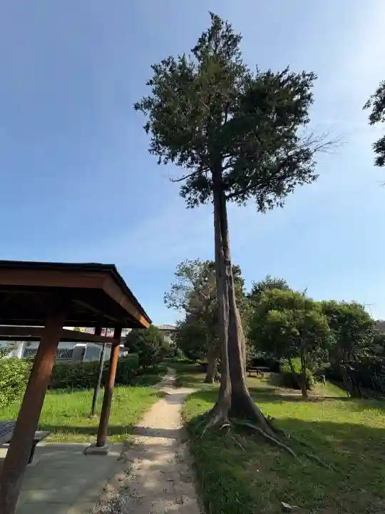 第六天神社(千葉県)