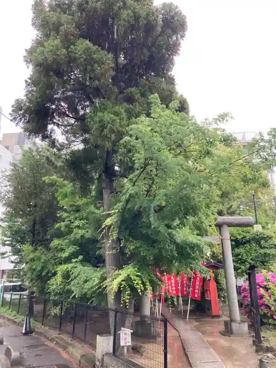 松先稲荷神社(千葉県)