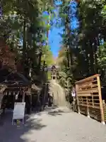 宝登山神社(埼玉県)