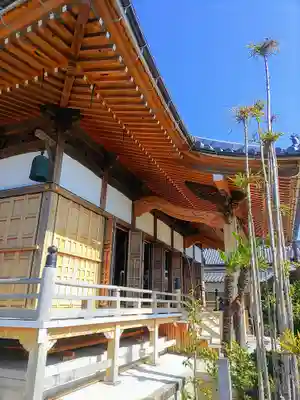 光蓮寺の本殿・本堂