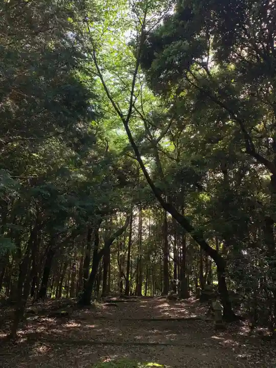 浅間神社(千葉県)