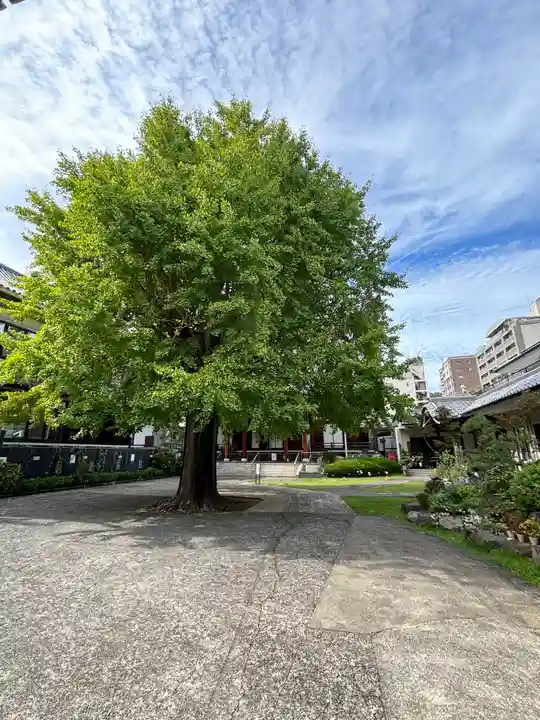 光永寺(長崎県)