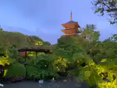 東寺（教王護国寺）の庭園