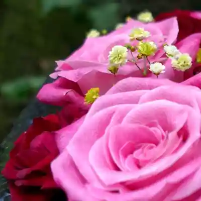 帯廣神社の手水舎