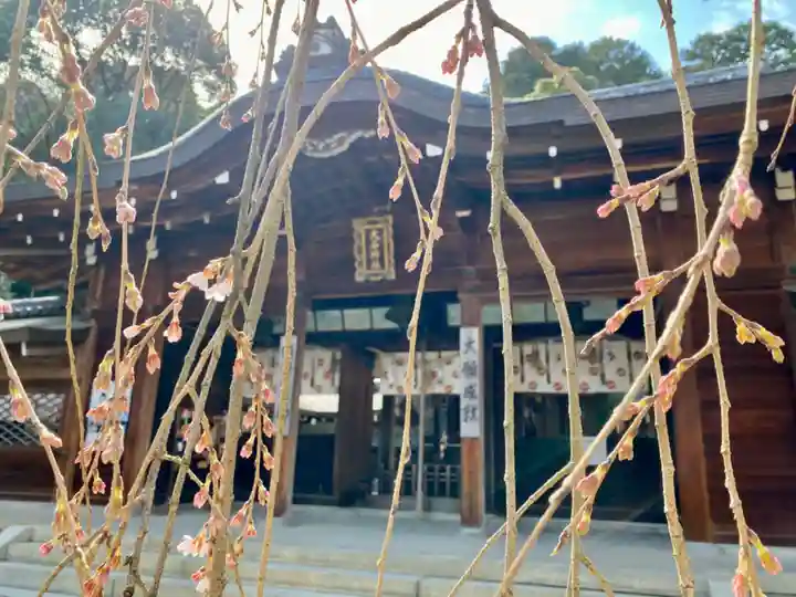 大石神社の本殿・本堂