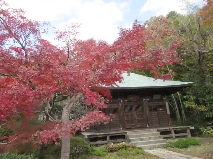 浄光明寺(神奈川県)