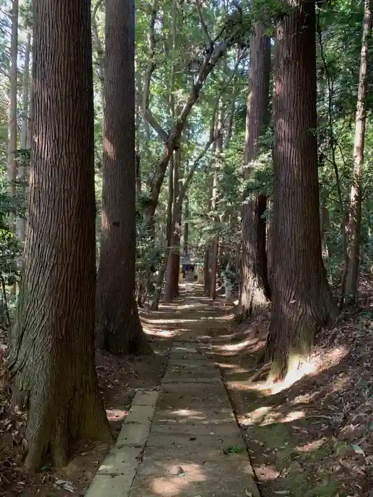 正一位綱原稲荷大明神(千葉県)