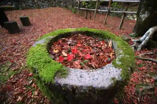 鰐淵寺の手水舎